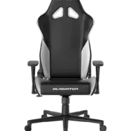 Геймерское кресло DXRacer OH/G2300/NW