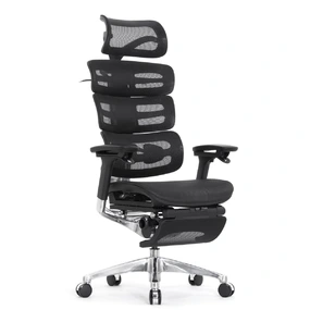 Эргономичное кресло Falto Evolution с подножкой (тихие вставки, управление на подлокотниках, сетка, чёрный)