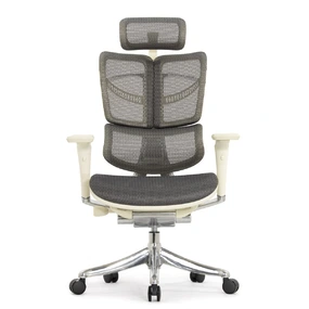 Анатомическое кресло Falto Fly 2 (динамичный подголовник, подлокотники 6D (360), сетка, светлый)