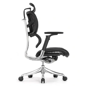 Анатомическое кресло Falto Fly 2 (динамичный подголовник, подлокотники 6D (360), сетка, чёрный)