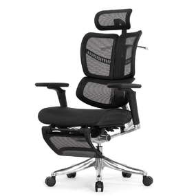 Анатомическое кресло Falto Fly 2 с подножкой (динамичный подголовник, подлокотники 6D (360), сетка, чёрный)
