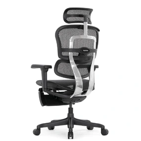 Эргономичное кресло Falto Ergohuman 2 Elite с подножкой (алюминий, наклон вперёд, сетка, чёрный)