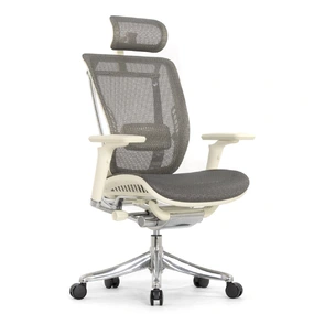 Эргономичное кресло Falto Spring 2 (поясничный валик, подлокотники 6D (360), сетка, светлый)