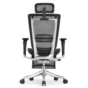 Эргономичное кресло Falto Spring 2 с подножкой (поясничный валик, подлокотники 6D (360), сетка, чёрный)