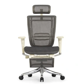 Эргономичное кресло Falto Spring 2 с подножкой (поясничный валик, подлокотники 6D (360), сетка, светлый)