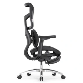 Эргономичное кресло Falto Scala Office с подножкой (разделённый поясничный упор, сетка, чёрный)