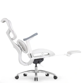 Эргономичное кресло Falto Scala Office с подножкой (разделённый поясничный упор, сетка, каркас белый, серый)